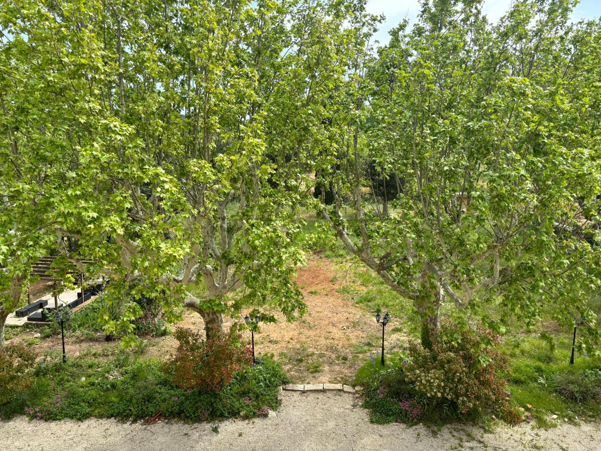 אקס-אן-פרובאנס Appartement De Standing Dans Une Bastide Aixoise מראה חיצוני תמונה